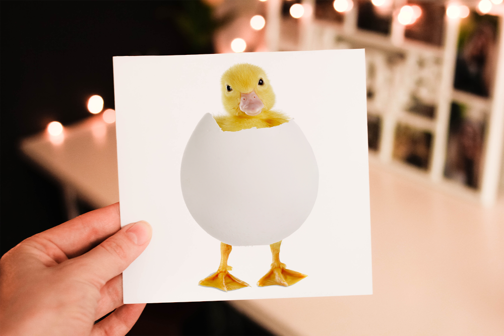 Duck Easter Card, Custom Chick Easter Card